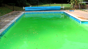Swimming pool green